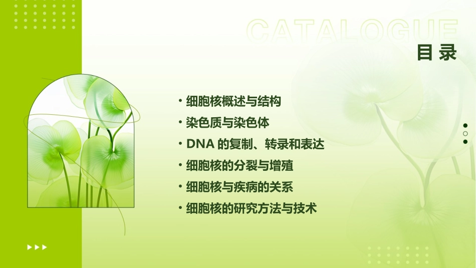 《医学细胞生物学》课件第九章细胞核_第2页