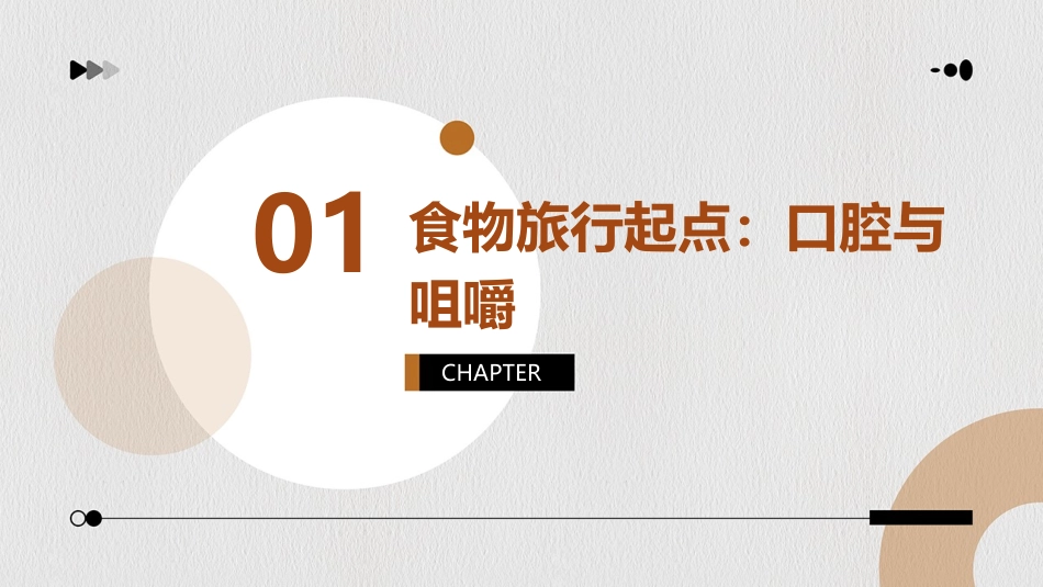 幼儿园大班食物的旅行ppt课件_第3页