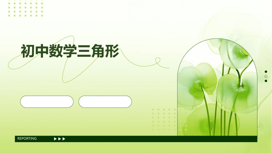 初中数学三角形_第1页