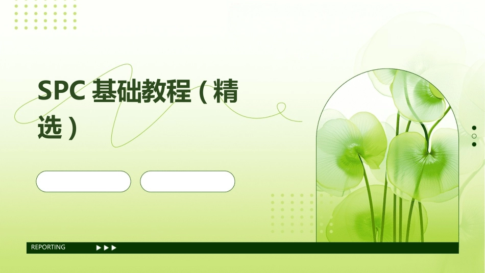 SPC基础教程(精选)_第1页