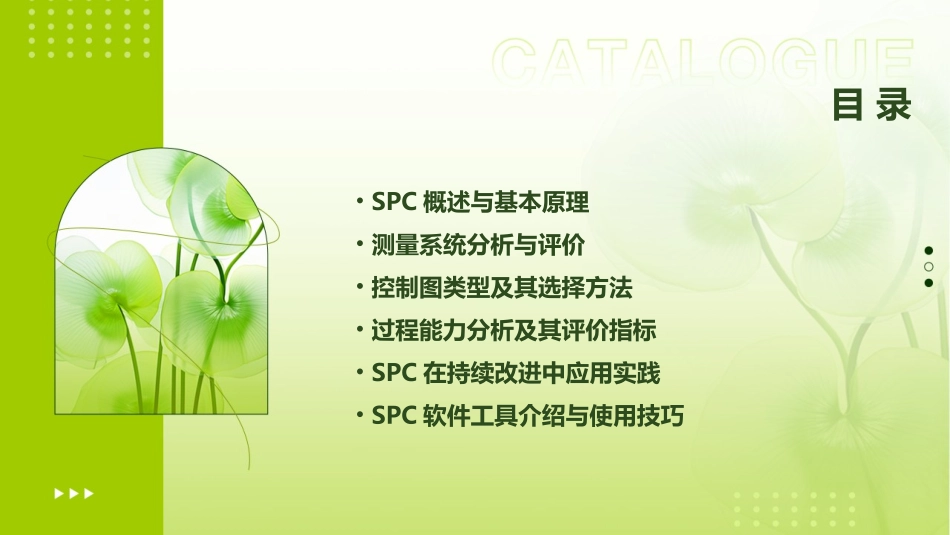 SPC基础教程(精选)_第2页