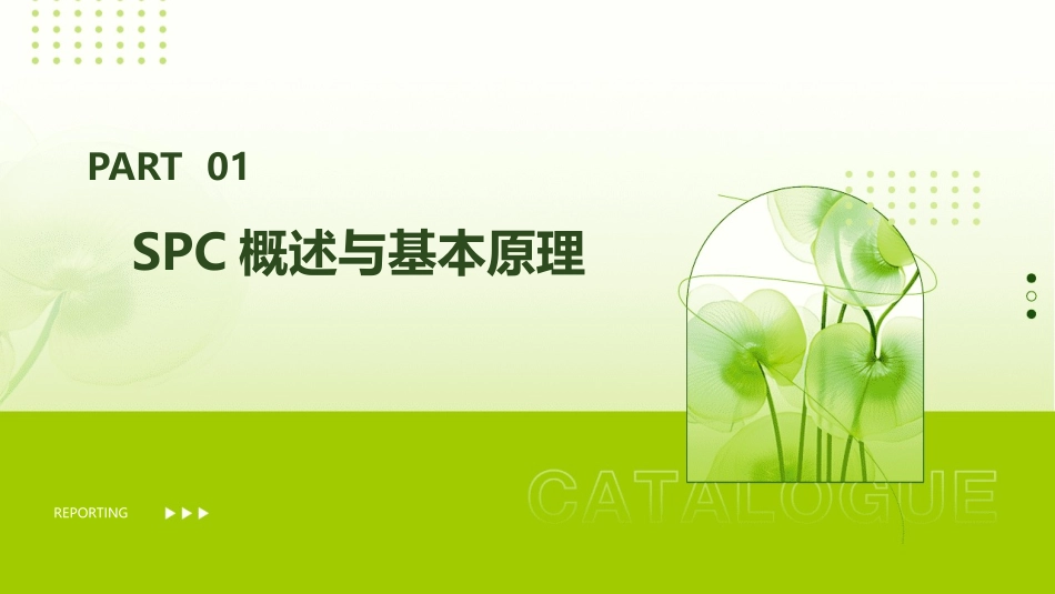 SPC基础教程(精选)_第3页