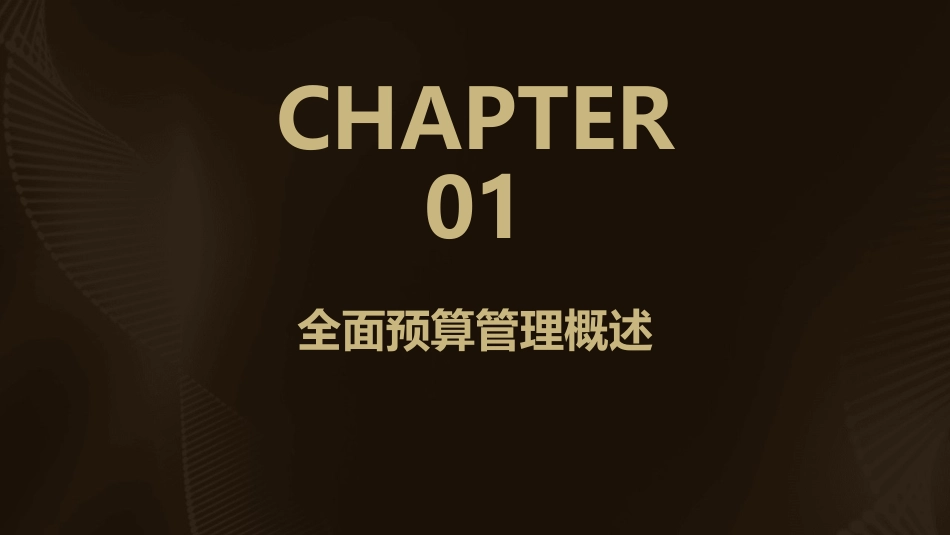 全面预算管理培训材料(ppt3)_第3页