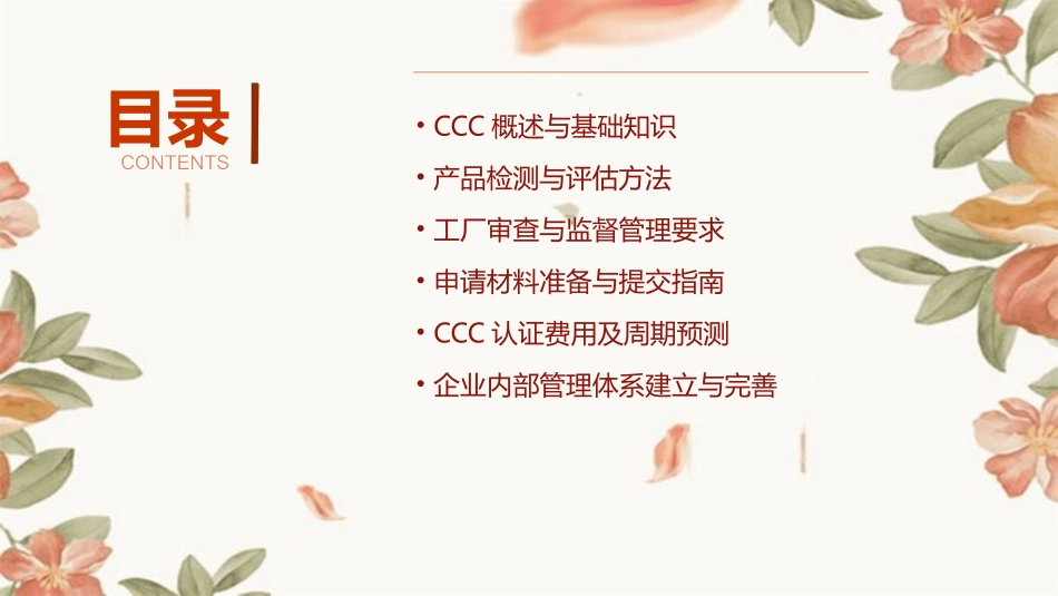 CCC知识培训教程_第2页