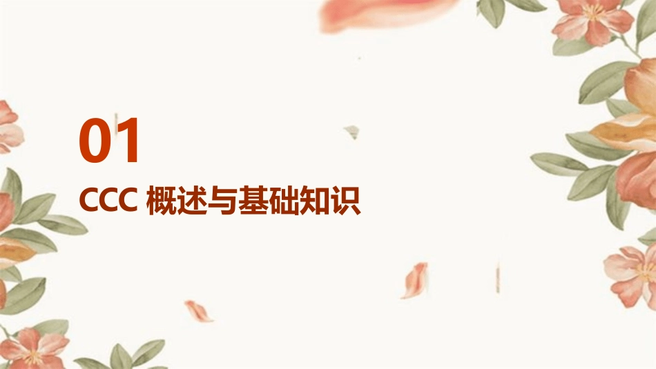 CCC知识培训教程_第3页