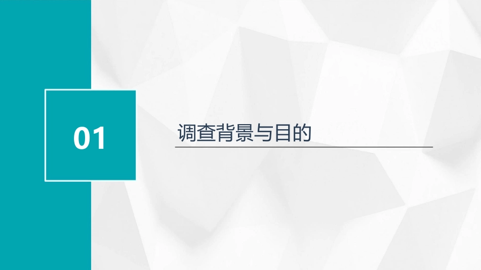 关于大学生上网情况的社会调查_第3页