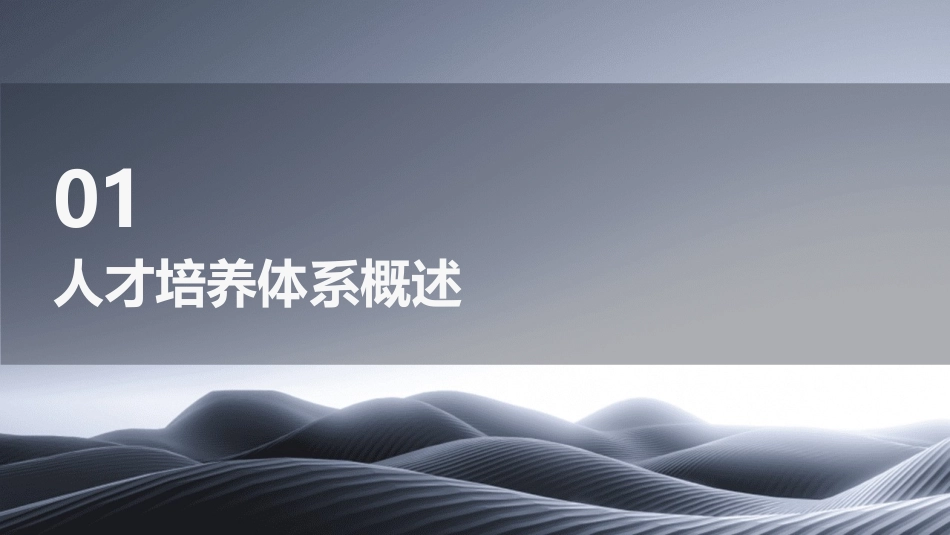 人才培养体系搭建方案精选_第3页