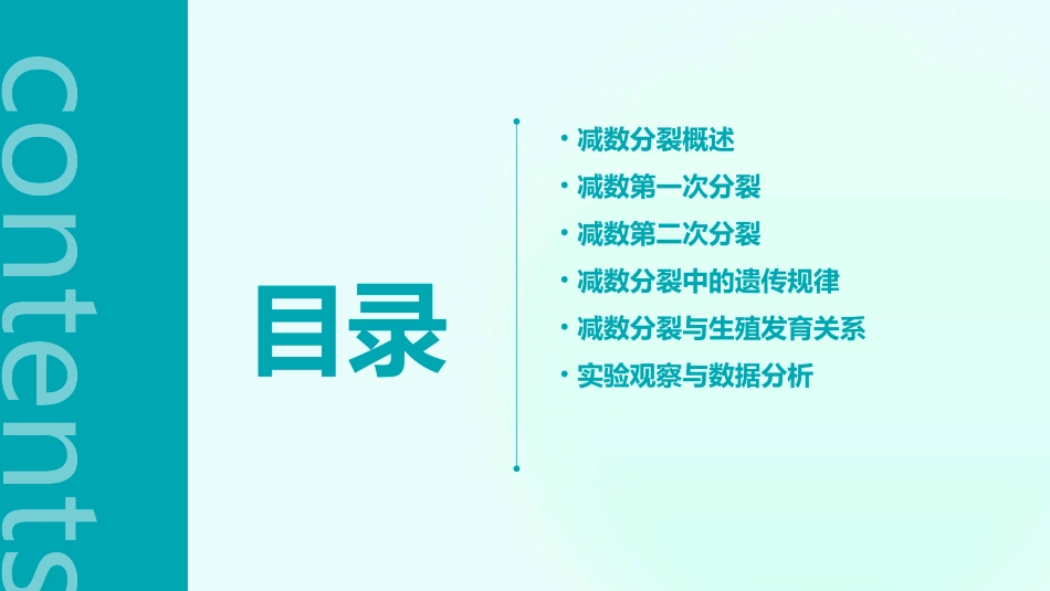 高中生物减数分裂ppt课件_第2页