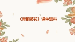 《青铜葵花》课件资料