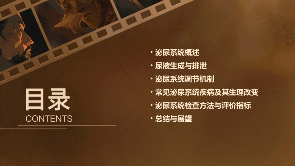 泌尿生理PPT课件_第2页