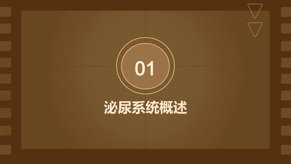 泌尿生理PPT课件_第3页