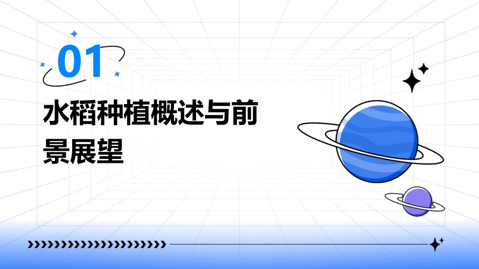 2024水稻种植ppt全新_第3页
