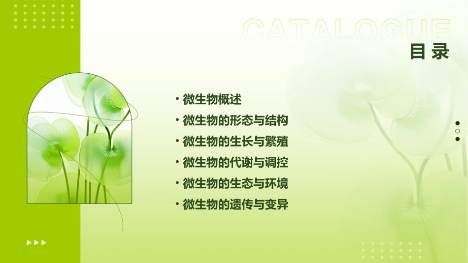 收藏微生物基础知识_第2页