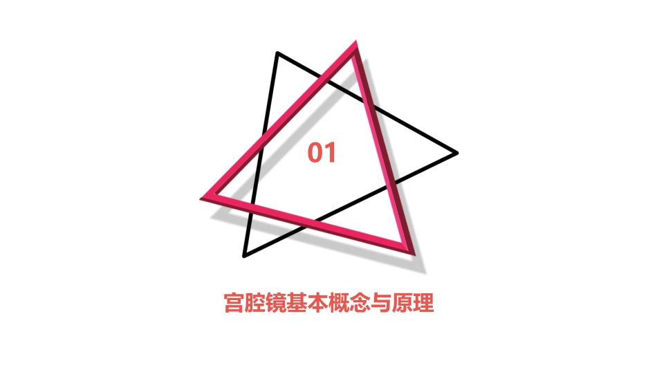 宫腔镜ppt课件_第3页