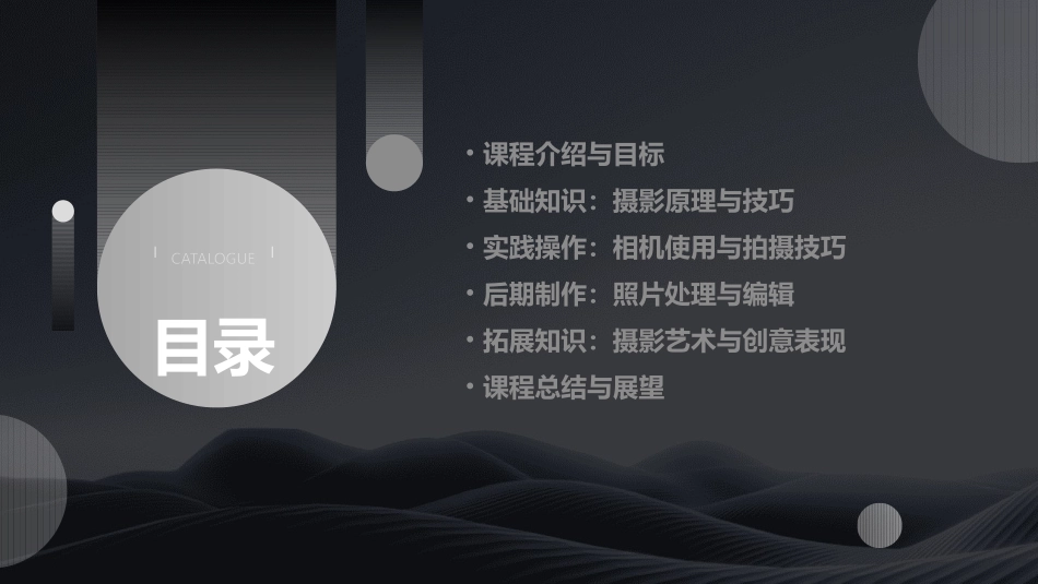 2024年小摄影师教案小学摄影课程教案_第2页