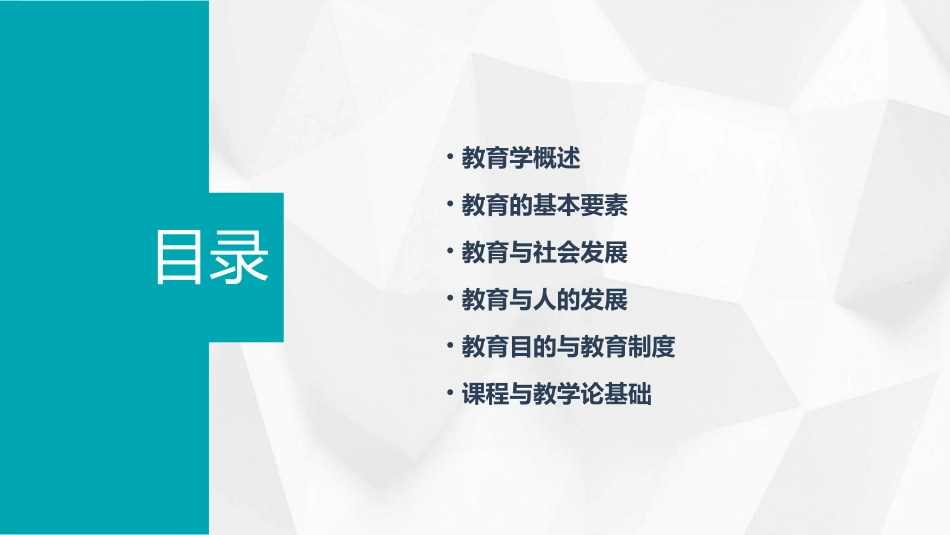 教育学基础教案_第2页