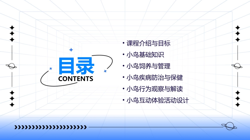 小鸟小鸟课件_第2页