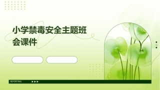 小学禁毒安全主题班会课件