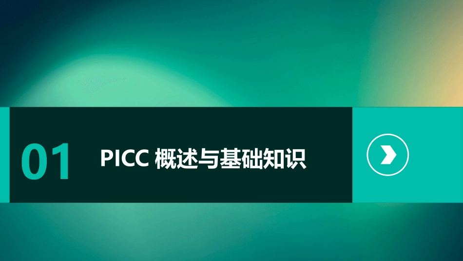 PICC完整培训内容课件_第3页