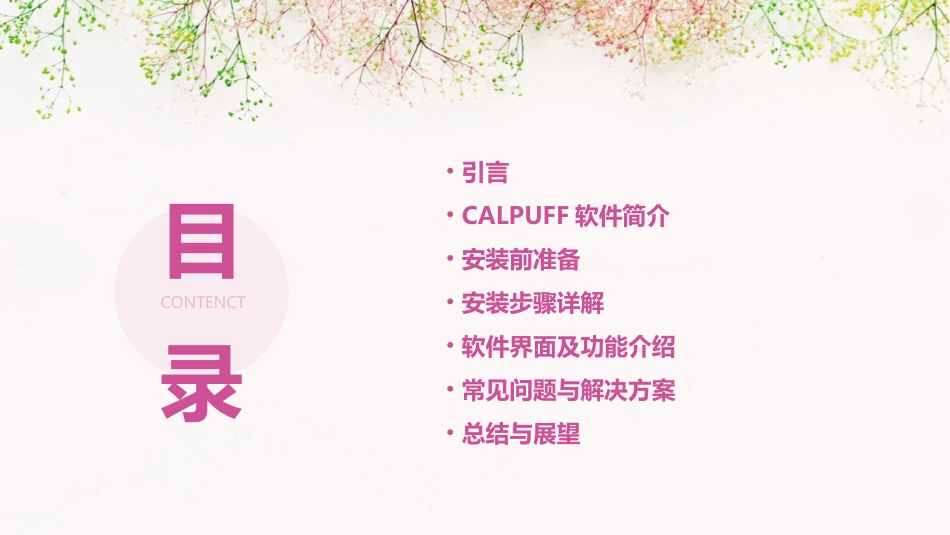 CALPUFF在线学习教程(安装教程)_第2页