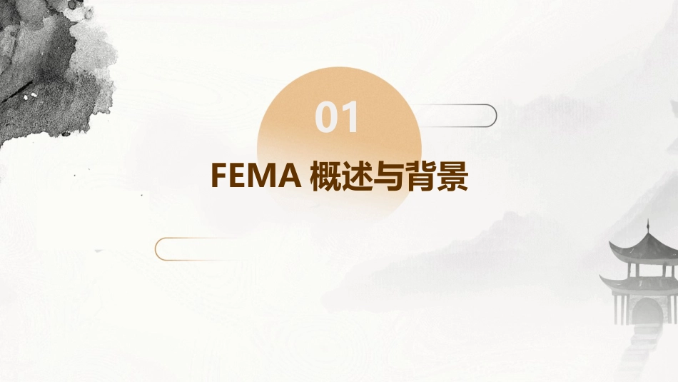 FEMA资料课件_第3页