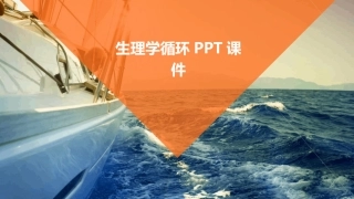 生理学循环PPT课件