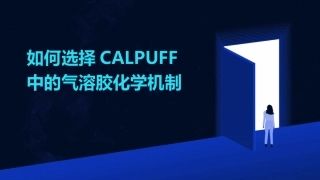如何选择CALPUFF中的气溶胶化学机制
