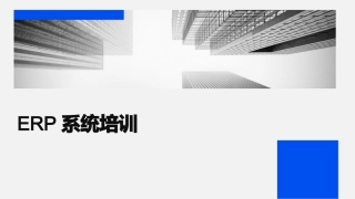 ERP系统培训