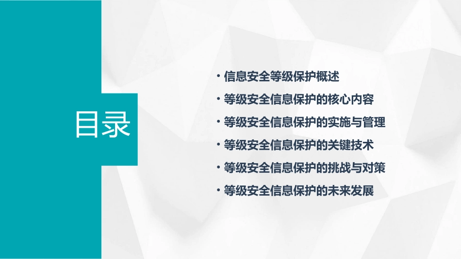 等级安全信息保护_第2页