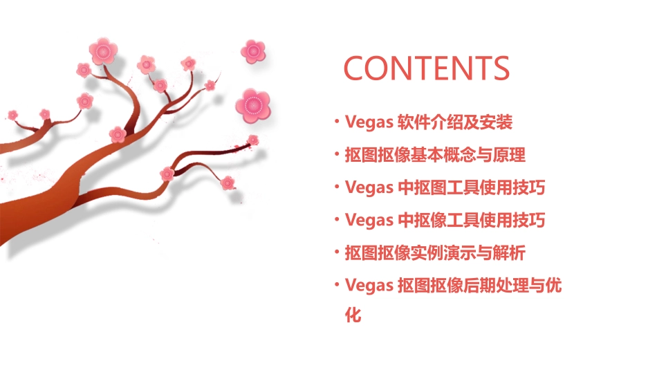 sonyvegas教程vegas抠图抠像教程_第2页