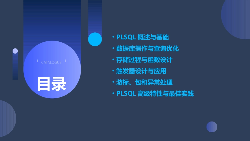 数据库培训PLSQL_第2页