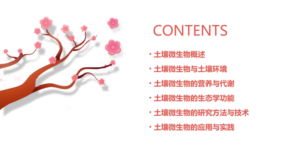 土壤微生物幻灯片课件_第2页