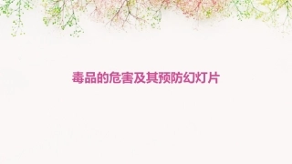 毒品的危害及其预防幻灯片