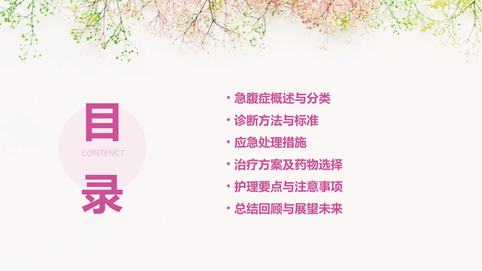 急腹症的应急预案_第2页