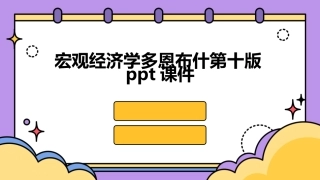 宏观经济学多恩布什第十版ppt课件