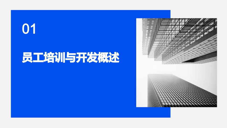 《员工培训与开发》ppt幻灯片_第3页