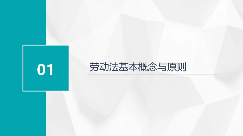 劳动法教案模板(精选)_第3页