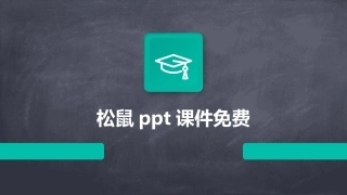 松鼠ppt课件免费