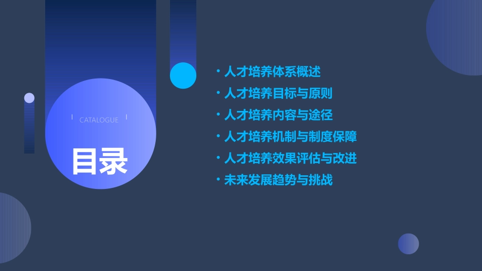 人才培养体系研究合集2024_第2页