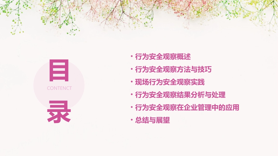 行为安全观察培训教学PPT课件_第2页