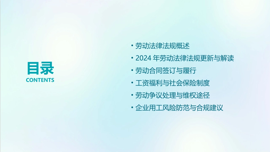 2024劳动法律法规培训_第2页