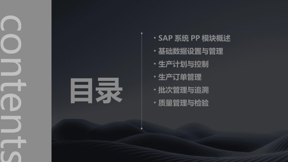 SAP系统PP培训课件资料_第2页
