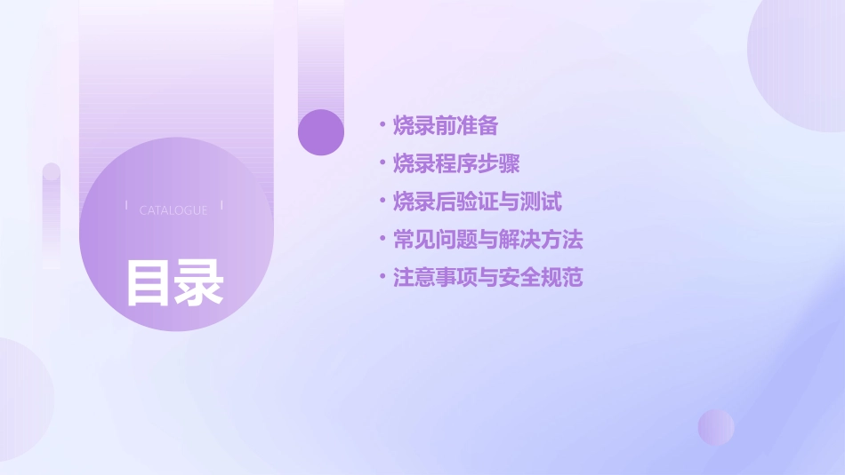IC芯片烧录程序的步骤及方法_第2页