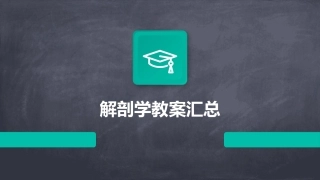 解剖学教案汇总