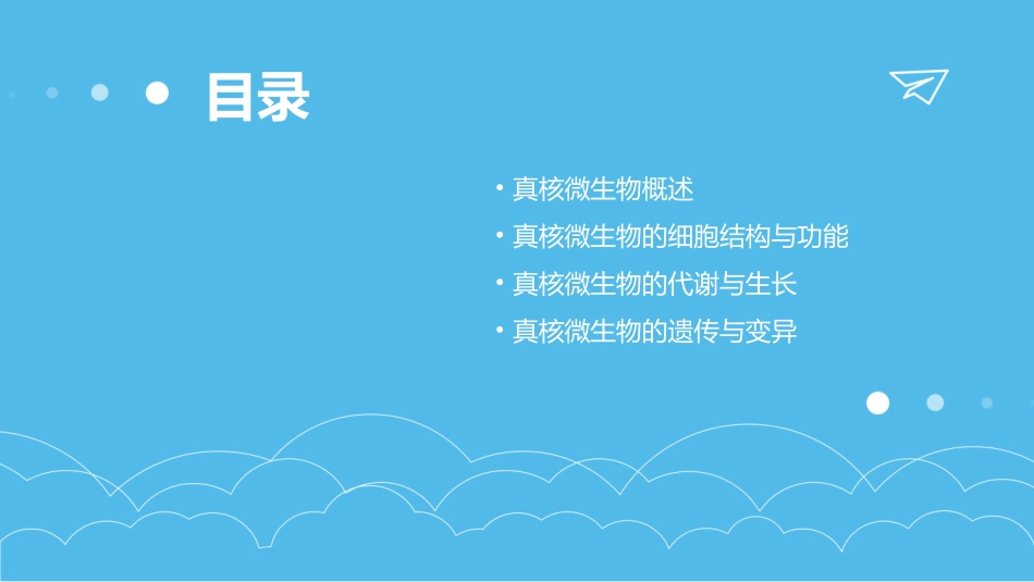生物课件第二章真核微生物_第2页