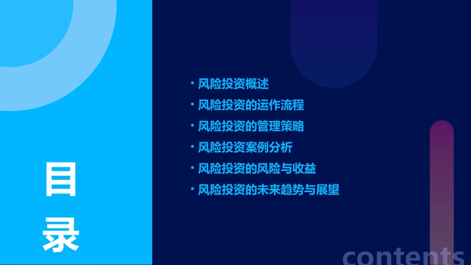 《精品)风险投资》ppt课件_第2页