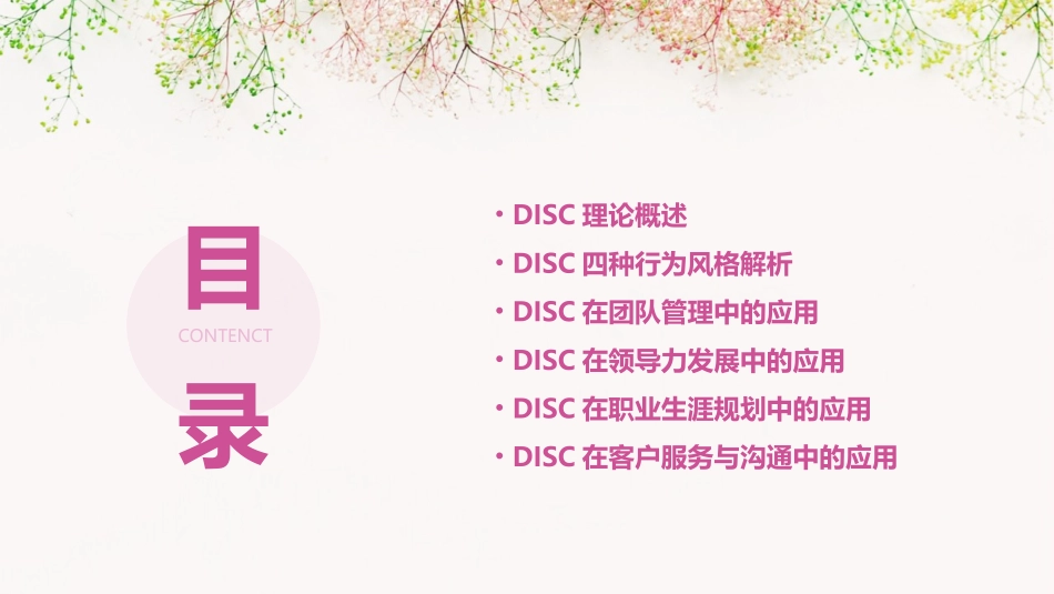 DISC培训课程优质ppt课件_第2页