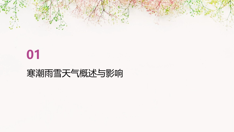 寒潮雨雪天气应急预案(通用2024)_第3页