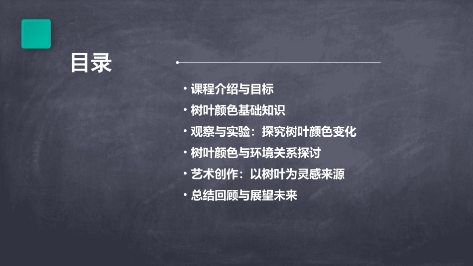《树叶的颜色在说话》PPT课件大班科学_第2页
