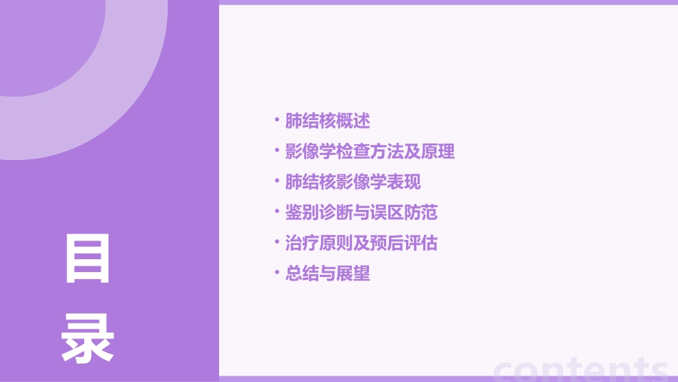 肺结核的影像学表现(多图)_第2页